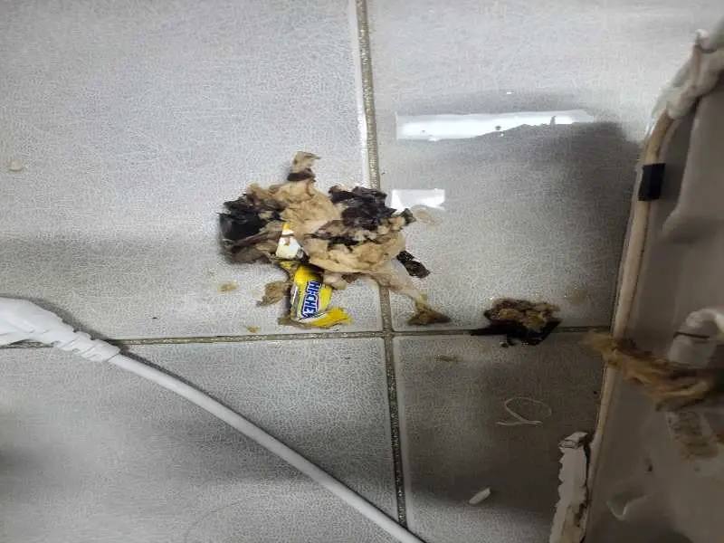 남동구 배관 이물질 제거 사례 2